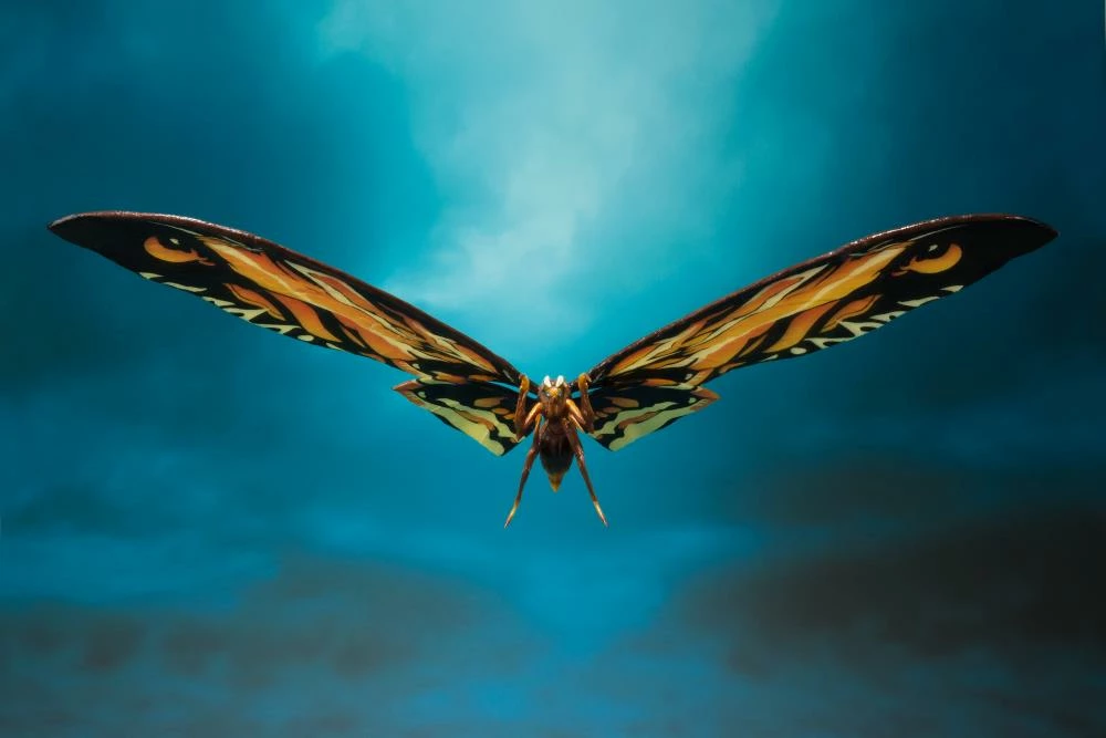 Maybang's Collectibles TAMASHII NATIONS Bandai S.H. MonsterArts Mothra (2019) & Rodan (2019) Set Godzilla King Of The Monsters 3 Maybang's Collectibles TAMASHII NATIONS Bandai S.H. MonsterArts Mothra (2019) & Rodan (2019) Set Godzilla King Of The Monsters