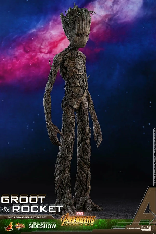 Vendor-unknown Hot Toys Marvel Avengers Infinity War Groot & Rocket 1/6 Scale Figure Set 8 Vendor-unknown Hot Toys Marvel Avengers Infinity War Groot & Rocket 1/6 Scale Figure Set