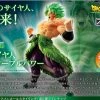 Maybang's Collectibles Bandai Dragon Ball Super Styling Super Saiyan Broly (Full Power)