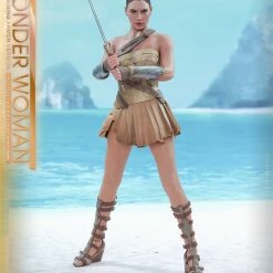 Vendor-unknown Hot Toys DC Comics Wonder Woman (Training Armor Version) 1/6 Scale Figure