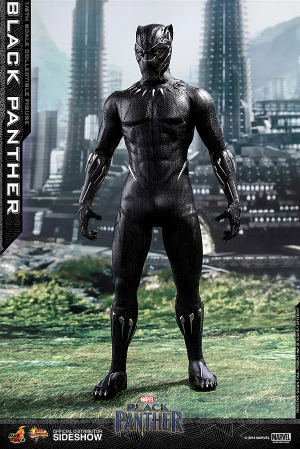 Vendor-unknown Hot Toys Marvel Black Panther Black Panther 1/6 Scale 12" Figure 1 Vendor-unknown Hot Toys Marvel Black Panther Black Panther 1/6 Scale 12" Figure