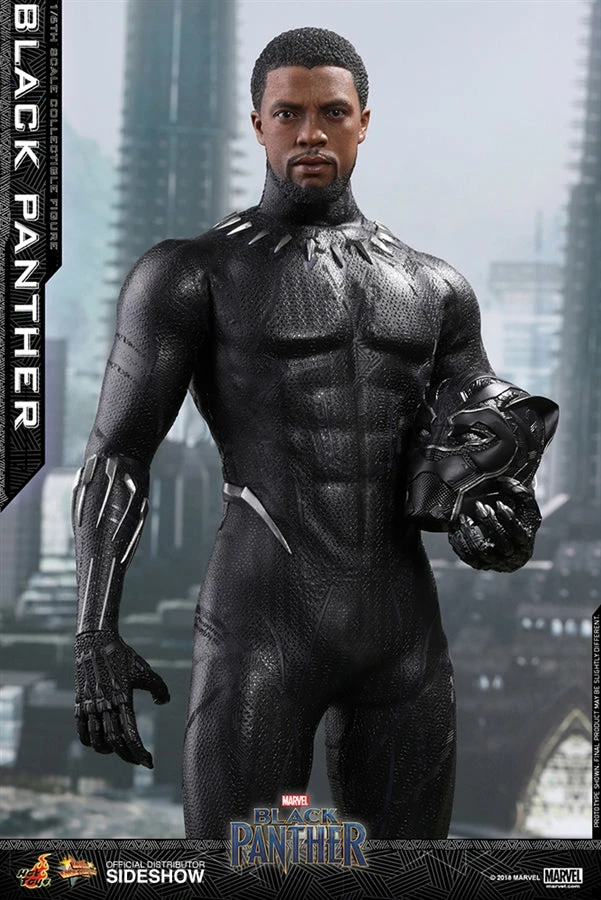 Vendor-unknown Hot Toys Marvel Black Panther Black Panther 1/6 Scale 12" Figure 5 Vendor-unknown Hot Toys Marvel Black Panther Black Panther 1/6 Scale 12" Figure