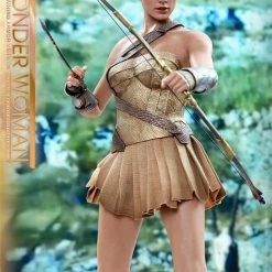 Vendor-unknown Hot Toys DC Comics Wonder Woman (Training Armor Version) 1/6 Scale Figure