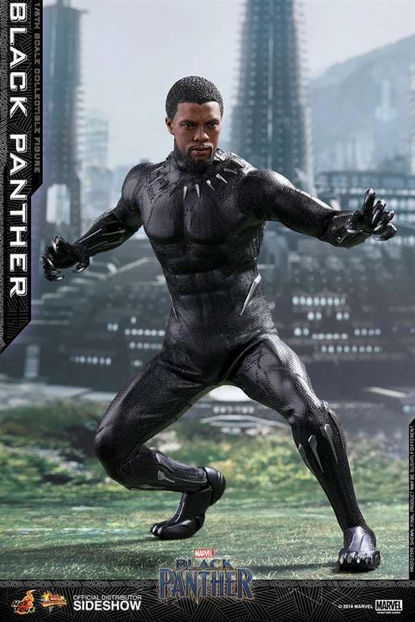 Vendor-unknown Hot Toys Marvel Black Panther Black Panther 1/6 Scale 12" Figure 4 Vendor-unknown Hot Toys Marvel Black Panther Black Panther 1/6 Scale 12" Figure