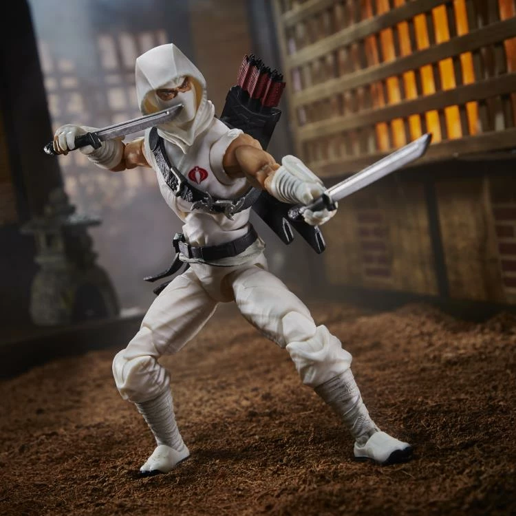 Maybang's Collectibles Hasbro G.I. Joe Classified Series Storm Shadow Action Figure 1 Maybang's Collectibles Hasbro G.I. Joe Classified Series Storm Shadow Action Figure