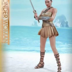 Vendor-unknown Hot Toys DC Comics Wonder Woman (Training Armor Version) 1/6 Scale Figure