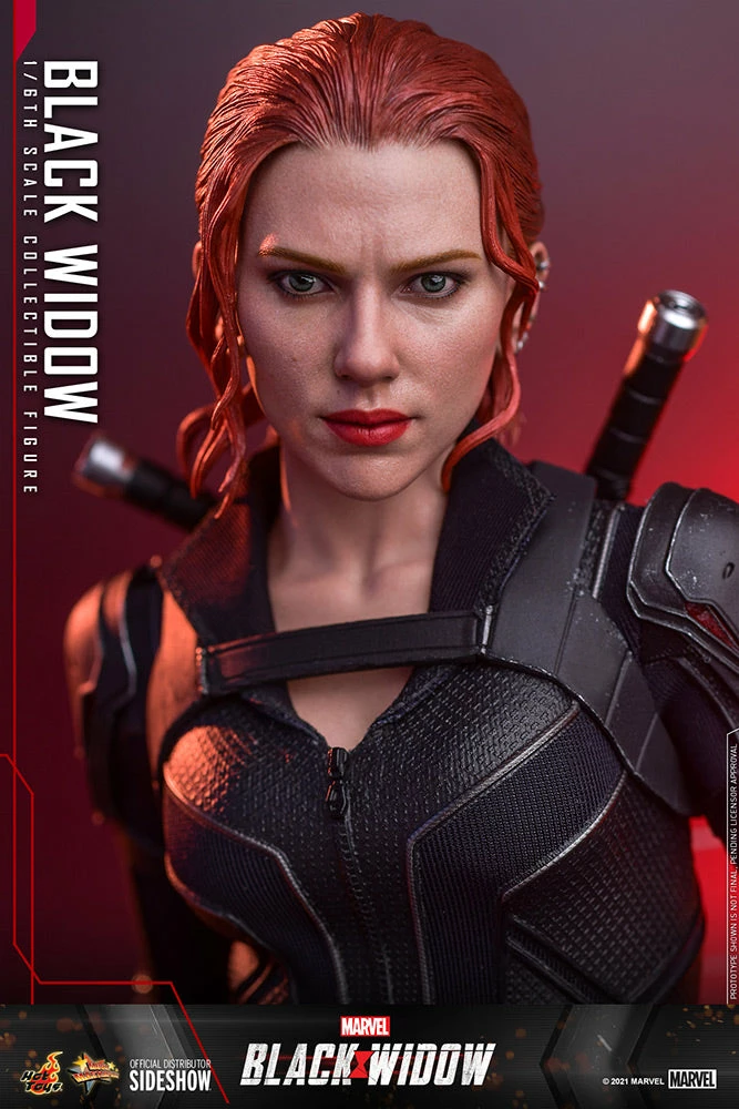 Maybang's Collectibles HoT Toys Marvel Black Widow Black Widow 1/6 Scale Collectible Figure 13 Maybang's Collectibles HoT Toys Marvel Black Widow Black Widow 1/6 Scale Collectible Figure