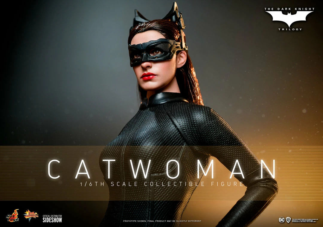 Maybang's Collectibles Hot Toys DC Comics Batman The Dark Knight Trilogy The Dark Knight Rises Catwoman Selina Kyle 1/6 Scale 12" Collectible Figure 1 Maybang's Collectibles Hot Toys DC Comics Batman The Dark Knight Trilogy The Dark Knight Rises Catwoman Selina Kyle 1/6 Scale 12" Collectible Figure