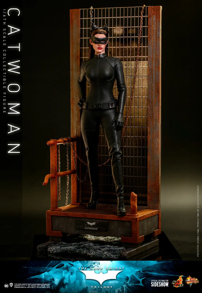 Maybang's Collectibles Hot Toys DC Comics Batman The Dark Knight Trilogy The Dark Knight Rises Catwoman Selina Kyle 1/6 Scale 12" Collectible Figure 13 Maybang's Collectibles Hot Toys DC Comics Batman The Dark Knight Trilogy The Dark Knight Rises Catwoman Selina Kyle 1/6 Scale 12" Collectible Figure