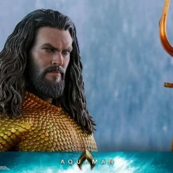 Maybang's Collectibles Hot Toys DC Comics Aquaman 1/6 Scale 12