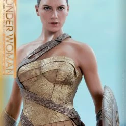 Vendor-unknown Hot Toys DC Comics Wonder Woman (Training Armor Version) 1/6 Scale Figure