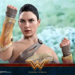Vendor-unknown Hot Toys DC Comics Wonder Woman (Training Armor Version) 1/6 Scale Figure