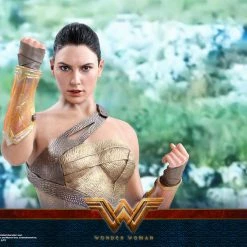 Vendor-unknown Hot Toys DC Comics Wonder Woman (Training Armor Version) 1/6 Scale Figure