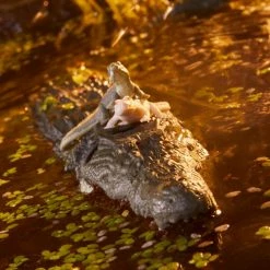 Maybang's Collectibles Hasbro G.I. Joe Classified Series Croc Master & Fiona Action Figure 16 Maybang's Collectibles Hasbro G.I. Joe Classified Series Croc Master & Fiona Action Figure