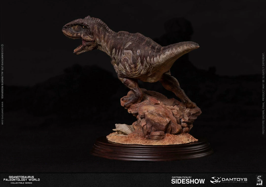 Maybang's Collectibles Damtoys Museum Collection Series MUS014 Giganotosaurus Statue 2 Maybang's Collectibles Damtoys Museum Collection Series MUS014 Giganotosaurus Statue