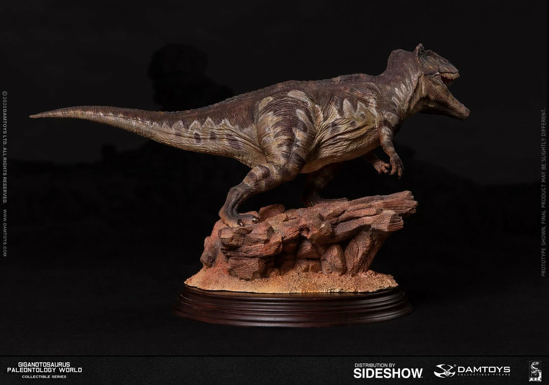 Maybang's Collectibles Damtoys Museum Collection Series MUS014 Giganotosaurus Statue 4 Maybang's Collectibles Damtoys Museum Collection Series MUS014 Giganotosaurus Statue