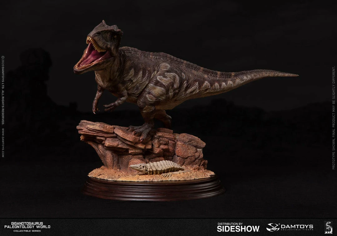 Maybang's Collectibles Damtoys Museum Collection Series MUS014 Giganotosaurus Statue 7 Maybang's Collectibles Damtoys Museum Collection Series MUS014 Giganotosaurus Statue