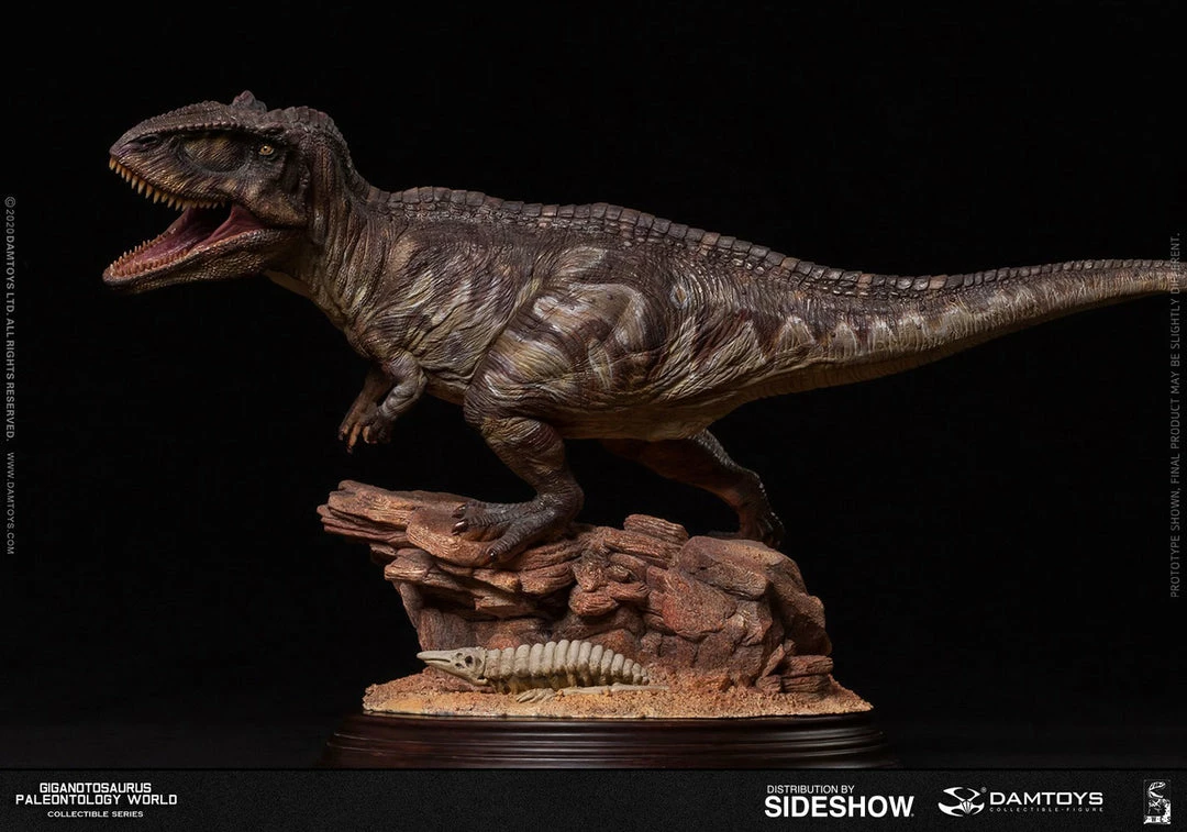 Maybang's Collectibles Damtoys Museum Collection Series MUS014 Giganotosaurus Statue 10 Maybang's Collectibles Damtoys Museum Collection Series MUS014 Giganotosaurus Statue