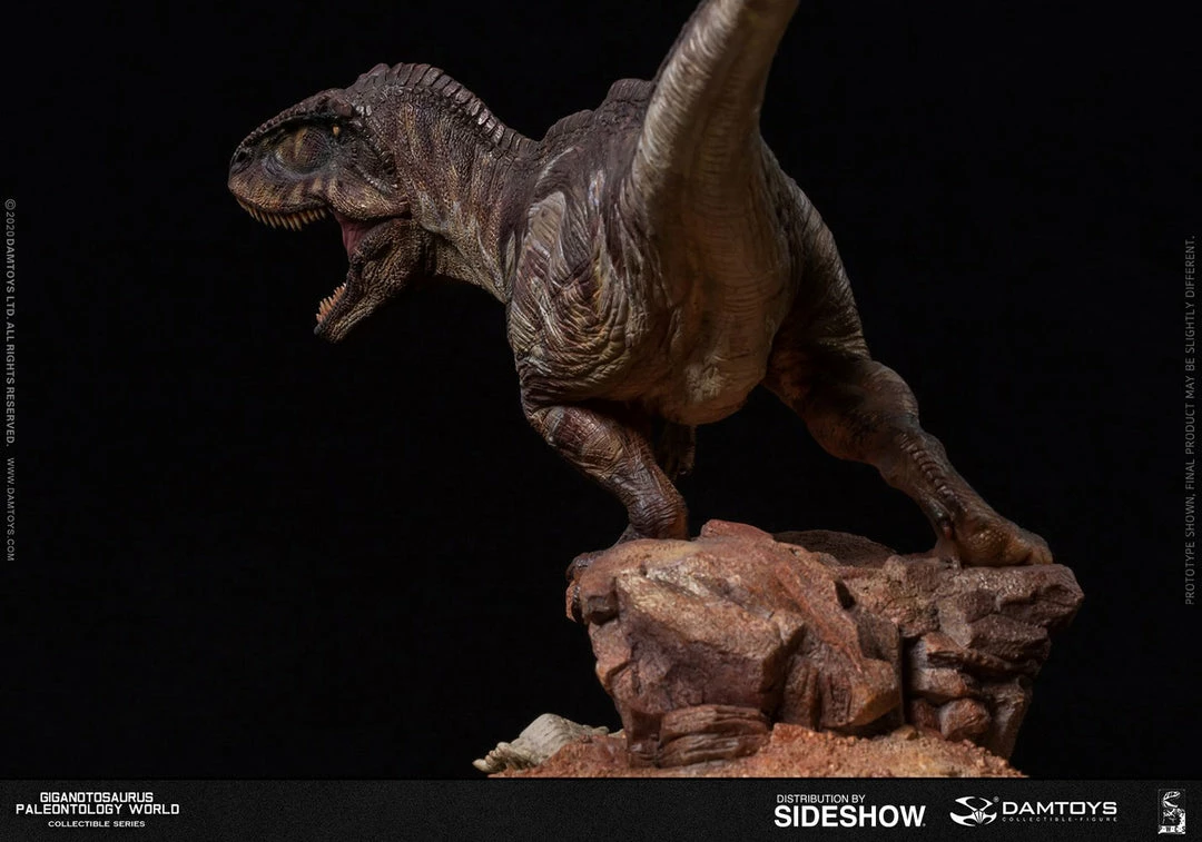 Maybang's Collectibles Damtoys Museum Collection Series MUS014 Giganotosaurus Statue 12 Maybang's Collectibles Damtoys Museum Collection Series MUS014 Giganotosaurus Statue
