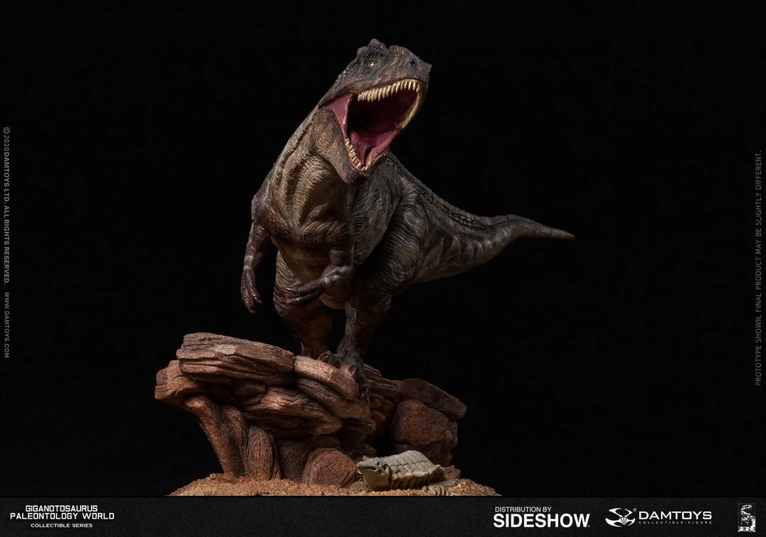 Maybang's Collectibles Damtoys Museum Collection Series MUS014 Giganotosaurus Statue 13 Maybang's Collectibles Damtoys Museum Collection Series MUS014 Giganotosaurus Statue