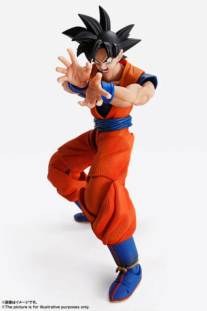 Maybang's Collectibles Bandai Tamashii Nations Imagination Works Dragon Ball Z Goku 1/9 Scale 7" Action Figure 6 Maybang's Collectibles Bandai Tamashii Nations Imagination Works Dragon Ball Z Goku 1/9 Scale 7" Action Figure