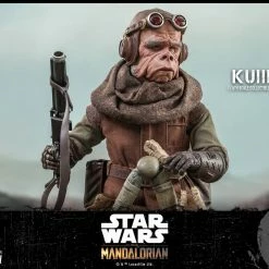 Maybang's Collectibles Hot Toys Star Wars The Mandalorian - Television Masterpiece Series Kuiil 1/6 Scale Collectible Figure