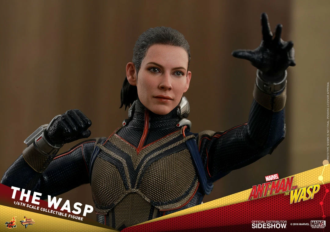 Maybang's Collectibles Hot Toys Marvel Ant-Man And The Wasp The Wasp 1/6 Scale Figure 1 Maybang's Collectibles Hot Toys Marvel Ant-Man And The Wasp The Wasp 1/6 Scale Figure
