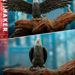 Maybang's Collectibles Hot Toys DC Comics Television Masterpiece Series - Peacemaker Peacemaker 1/6 Scale 12