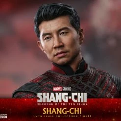 Maybang's Collectibles Hot Toys Marvel Comics Shang-Chi Shang-Chi 1/6 Scale 12" Collectible Figure 25 Maybang's Collectibles Hot Toys Marvel Comics Shang-Chi Shang-Chi 1/6 Scale 12