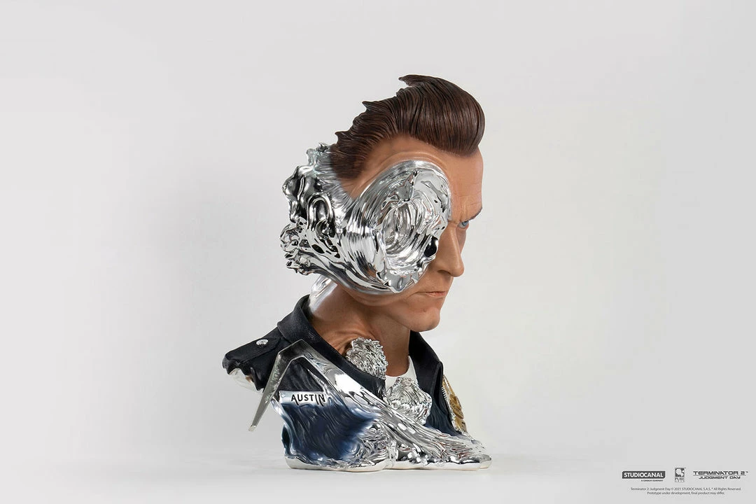 Maybang's Collectibles Others PureArts Terminator 2 T-1000 Art Mask 1:1 Scale Non-Wearable Mask Life Size Bust Statue 15 Maybang's Collectibles Others PureArts Terminator 2 T-1000 Art Mask 1:1 Scale Non-Wearable Mask Life Size Bust Statue