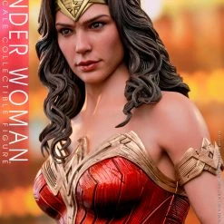 Maybang's Collectibles Hot Toys DC Comics Wonder Woman 1984 Wonder Woman 1/6 Scale Collectible Figure